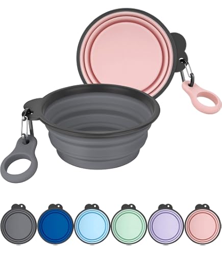 2 Pack Collapsible Dog Bowls, Portable Silicone Pet Feeder, Foldable