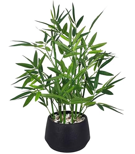 Amazon｜IKEA/イケア FEJKA/フェイカ：人工観葉植物68 cm アレカヤシ
