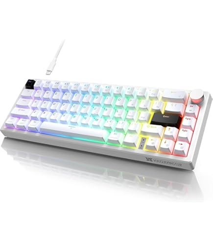 Amazon | RaceGT 有線メカニカルゲーミングキーボード - 67キー 超