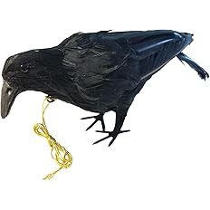 Amazon Co Jp Onesora カラスよけ 鳩よけ 本物そっくり リアル羽毛カラス 小振りサイズ1羽 ぶら下げて吊るすだけ カラス撃退 Diy 工具 ガーデン
