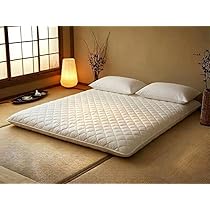 数回使用　プレミアケア 布団タイプ敷きマット　セミダブル 61jVOdrmDIL._AC_UL210_SR210,