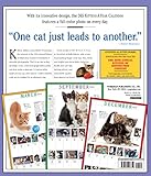 Image de The Original 365 Kittens a Year Picture-a-Day 2018 Calendar