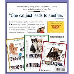 The Original 365 Kittens a Year Picture-a-Day 2018 Calendar
