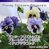 セレクトパンジー フリズルシズルブルー&ホワイト イタリアテラコッタ寄植え【お買い得】【お歳暮】