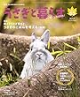 季刊 うさぎと暮らす NO65 (2017 Autumn)