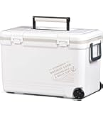 Amazon.co.jp: 伸和(SHINWA) ホリデーランドクーラー22H 22H ホワイト