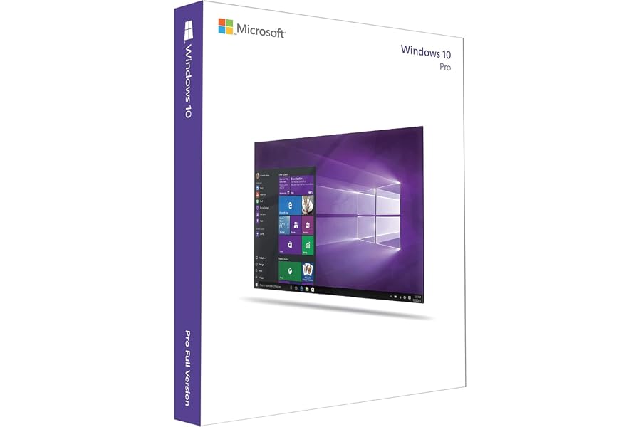 Windows 10 Professional | USB Flash Drive
