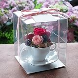 パラボッセオリジナル プリザーブドフラワー カプチーノ ピンク クリアケース入 横幅10cmx10cmx高さ13cm preserved flowers