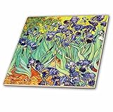 3dRose ct_155630_1 Irises by Vincent Van Gogh 1889 Purple Flowers Iris Garden Copy of Famous Paintin