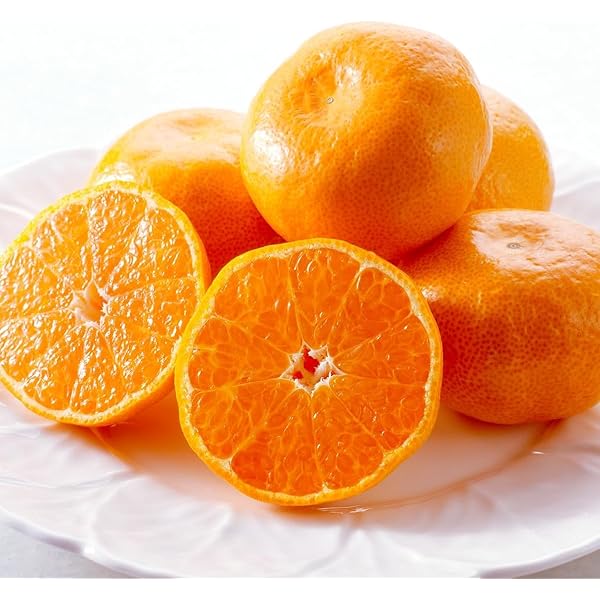 Amazon.co.jp: 熊本・福岡産 シトラス21みかん S/2Sサイズ 約5kg