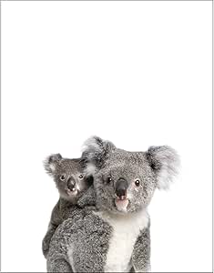 Amazon Eroute66フクロウかわいい赤ちゃん動物コアラパンダキャンバス絵画額なしアートホーム壁装飾 40 Cm X 50 Cm C 40cm X 50cm アートフレーム ポスター オンライン通販