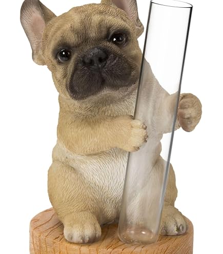 Amazon.co.jp: 1/6スケール フレンチブルドッグ フィギュア｜リアル