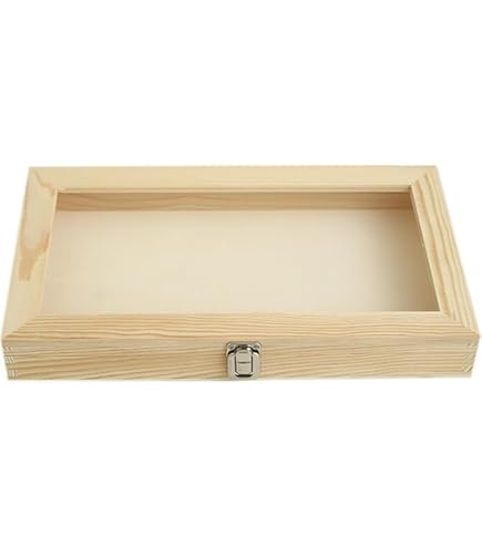 Amazon | BQQB 標本箱透明昆虫蝶標本箱 昆虫標本展示ボックス 蝶園作り