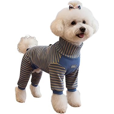 Amazon.co.jp 最新リリース: 犬用服・アクセサリ の新着ランキングです。