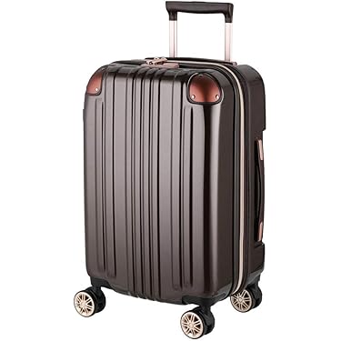 値下げ】Godox DE300 5個セット【運搬用スーツケース付き】 値下げ