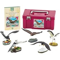 Amazon | カロラータ 爬虫類 フィギュア 立体図鑑 (カメ トカゲ ワニ