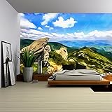 wall26 自己粘着式壁紙 大型壁面シリーズ 100"x144" WMR-WP-X-CA50-100x24x6