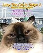 Lucy The Cat In Tokyo 2 Bilingual Japanese - English: ねこのルーシー　 とうきょうへ　いく 2 バイリンガル：日本語 - 英語 (Lucy The Cat Bilingual Japanese - English Book 9) (English Edition)