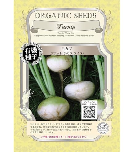 Amazon.co.jp: サウザンドヘッドケールの種(巨大ケールの種) : DIY