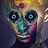 The Insulated World(通常盤)(DVD)