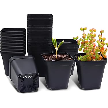 Amazon.co.jp 人気ギフトランキング: 育苗ポット で、ギフトの設定を