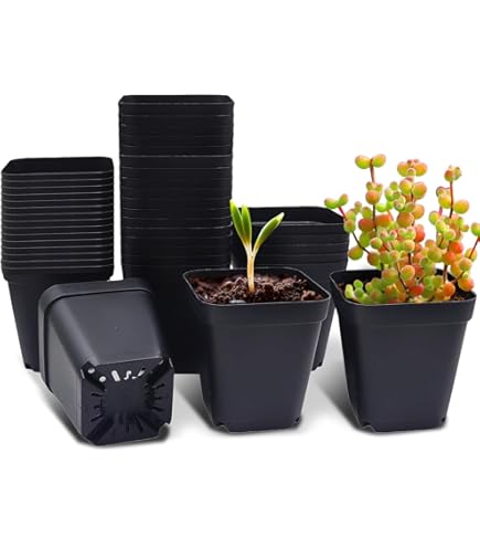 Amazon | 合体くん タキイ根巻防止連結ポリ鉢 9cm 黒 24鉢/1枚 【250枚 Amazon | 合体くん タキイ根巻防止連結ポリ鉢 9cm 黒 24鉢/1枚 【250枚