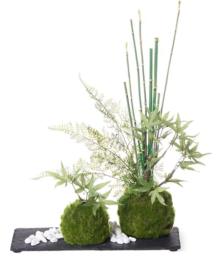 Amazon｜CUP BON 苔盆 人工観葉植物 フェイクグリーン (苔盆(しずく