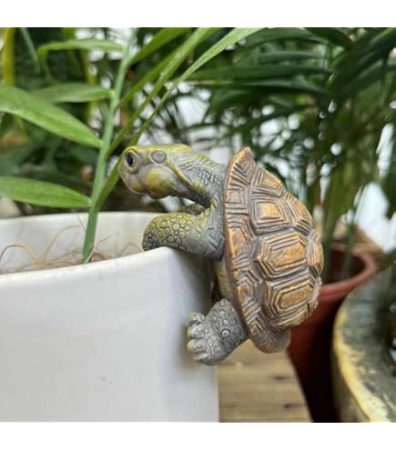 カメ Amazon.co.jp: LxRx9 カメ 置物 リアルな亀の置物 縁起物 幸運