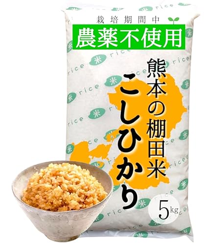 熊本県 自然栽培米 ひのひかり 玄米20kg 割引 新米無農薬玄米20kgひのひかり 新米】無農薬玄米20kg 20キロ 農家