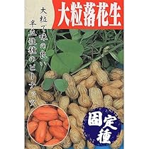 Amazon.co.jp: 小豆 種 晩生秋小豆 小袋（約50ml） : DIY・工具