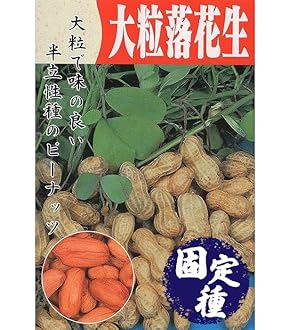おおまさりネオの種×21袋 2025年最新】おおまさり 種の人気アイテム - メルカリ