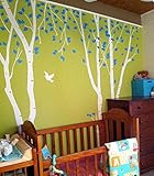 Birch trees in the nature garden 2 - Beautiful Tree Wall Decals for Kids Rooms Teen Girls Boys Wallp