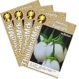 ナス属 Thai Ablong Eggplant 4 Bulk ThailandMrk