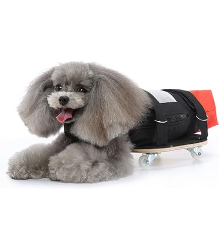 Dog Cat Wheelchair For Back Legs, Pet Walking Scooter With Silent Wheels Dog Cat Assist Scooter Protect Your Pet Chest And Limbs