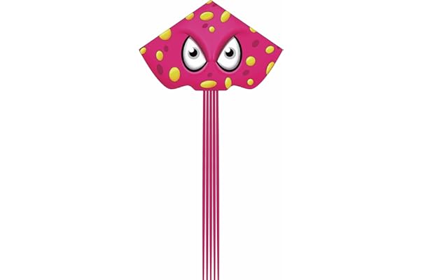 特価 送料無料 キット 大人系 キャラクター 蝶々形 おもちゃ 凧揚げ