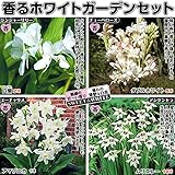 国華園　球根　香るホワイトガーデンセット　4種18球【※発送が国華園からの場合のみ正規品です】