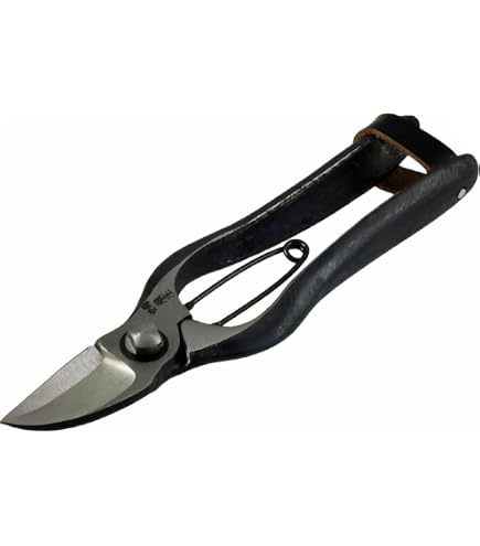 Amazon | 飛塚製鋏所 ニンニク切鋏 飛庄 31167 180mm | 園芸用はさみ