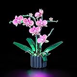 LED Lighting Kit LED for Lego Orchid Flower 10311, Great Visual! (Only LED, Not Brick)