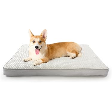 Amazon.co.jp 最新リリース: 犬用ベッド・クッション の新着ランキング