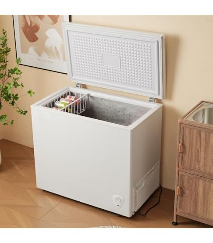 Amazon.co.jp: 冷凍庫 250L 家庭用 業務用 鍵付き ノンフロン チェスト