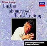 R.�V���g���E�X:�������s�h���E�t�@���t�A���^�����t�H�[�[���A�������s���ƕϗe�t