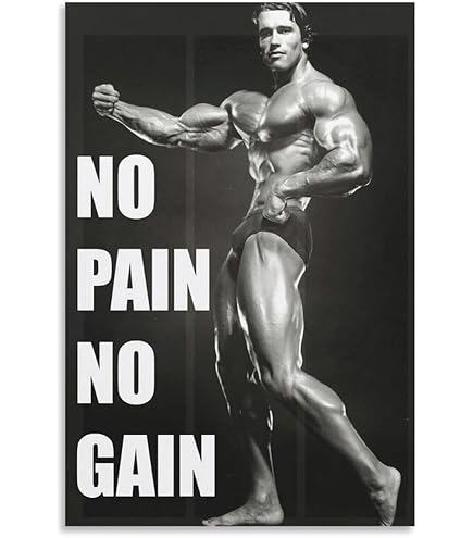 Amazon.co.jp: アーノルド・シュワルツェネッガーGYMモチベーション