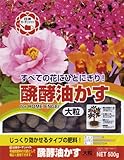 日清 醗酵油かす大粒 500g