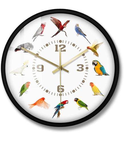 Amazon.co.jp: 野鳥の電波時計 掛け時計 安眠機能 直径40cm 大型