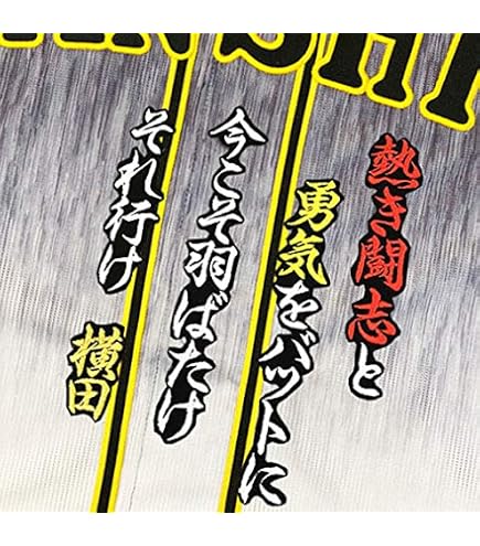 Amazon.co.jp: 読売 ジャイアンツ 巨人 刺繍ワッペン 甲斐 拓也 背番号