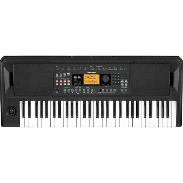 Amazon.co.jp: コルグ KORG EK-50 Limitless Entertainer Keyboard