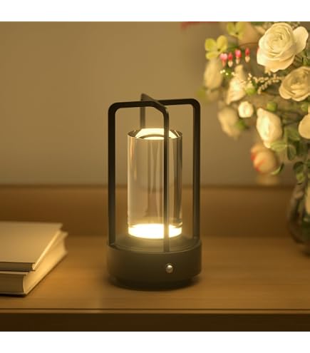 Amazon.co.jp: DI CLASSE(ディクラッセ) LED Capella C/L SV カペラ C 