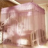 royal-ヨーロピアンスタイルスクエアトップMosquito Net three-door暗号化ダブルベッドプリンセススタイルステンレススチールブラケットパープル Diameter 32mm