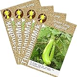 ナス Thai Green Long Eggplant 4 Bulk ThailandMrk