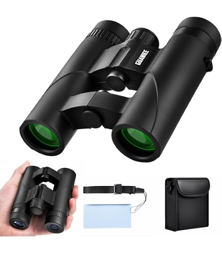 Kenko 408834 Disney Opera Glasses 3x25 Winnie the Pooh Binoculars